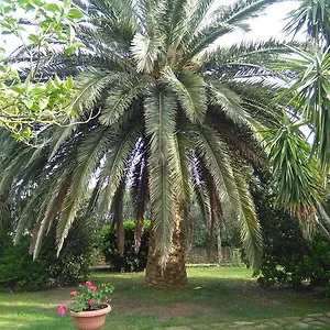 Alloggio per agriturismo La Palma, Magliano in Toscana